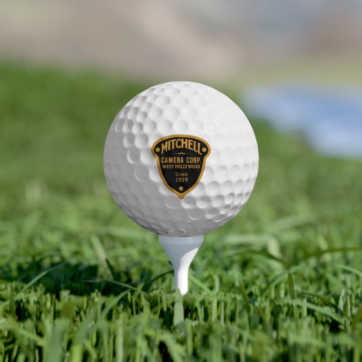 Mitchell Camera Corp Acorn Golf Balls, 6pcs